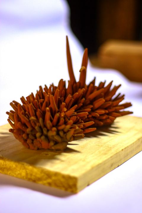 Artesanía de Pomaire — fotografía 76